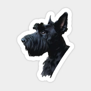 Scottish Terrier Adorable Puppy Dog Sticker